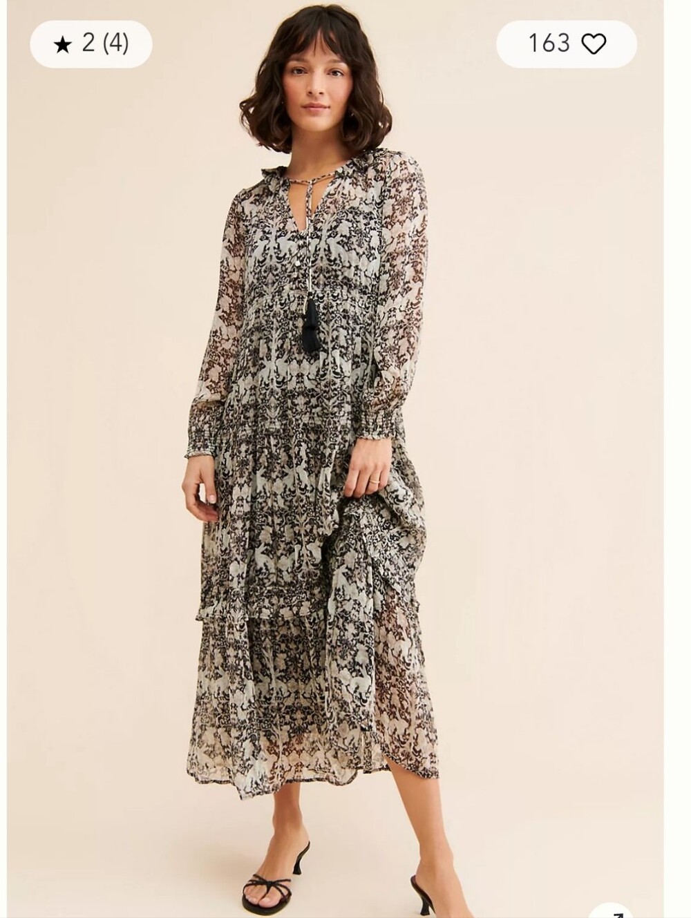 Anthropologie Chiffon Maxi Dress Small